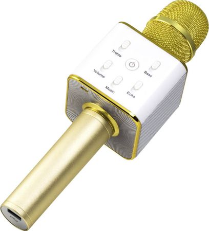 MusicMan Karaoke Microphone BT-X31 gold-white